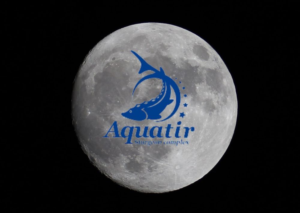 ������� - ���� ����� ����. ������� � ������ ����� ����� ������� ���� � �������. ��� ���������� ���������� ����������. ����-���� ��������� � ������