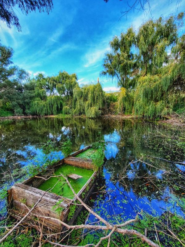 ����������� ����� � �������