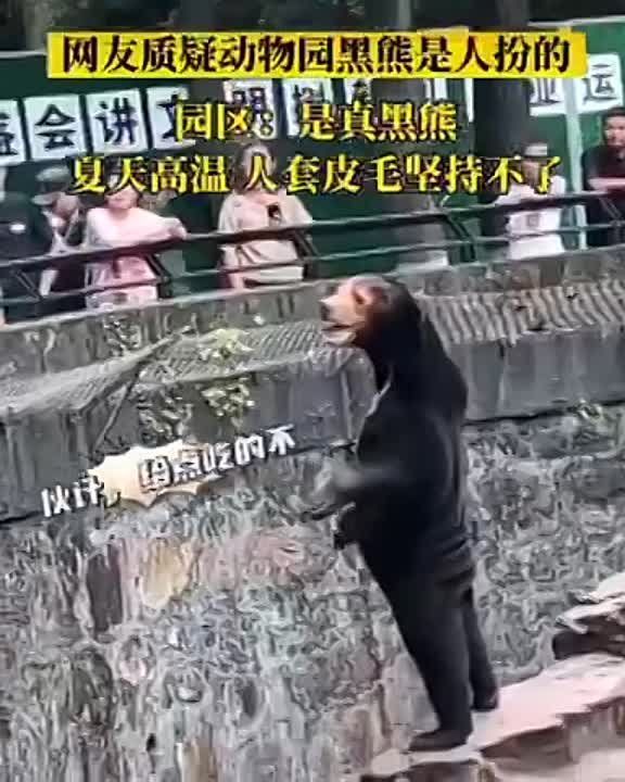 ������� �� ����: ������� ���������?