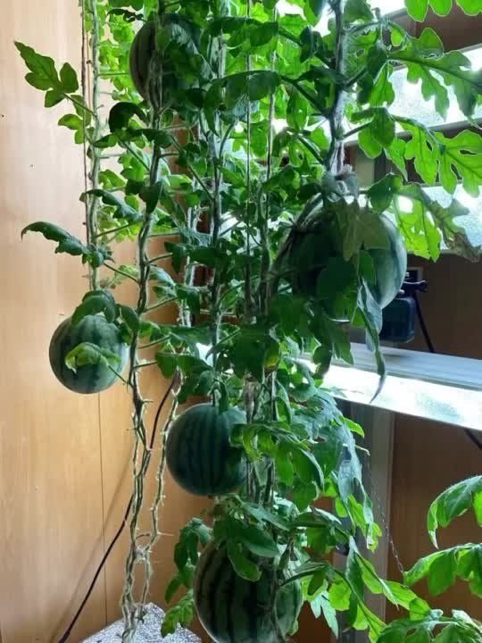 ������ �� ������� ��������� � ���������� ���������� ������