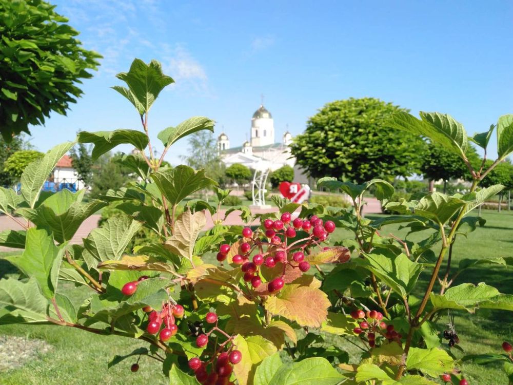 1 ������� ��������� ���������� ����������, ����� ������� ��������������� �����