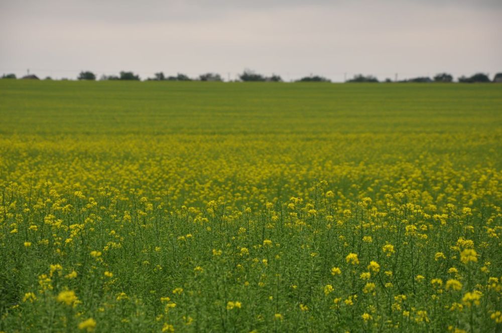 ���������� � ���� ������� ����� � �������� �������������