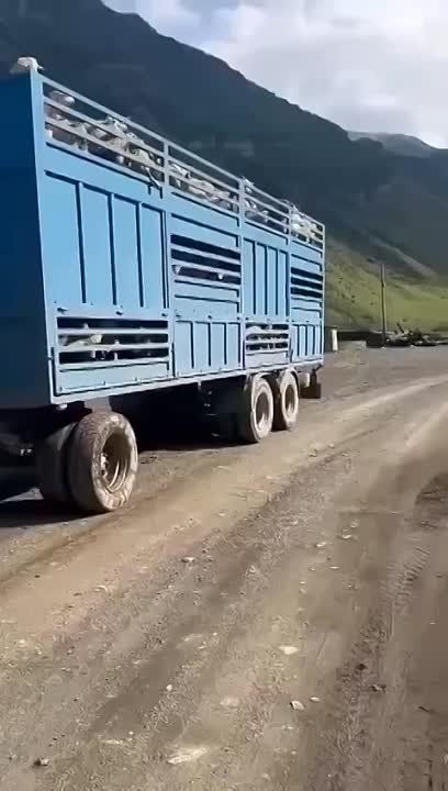 ��� ������ ������������� �������