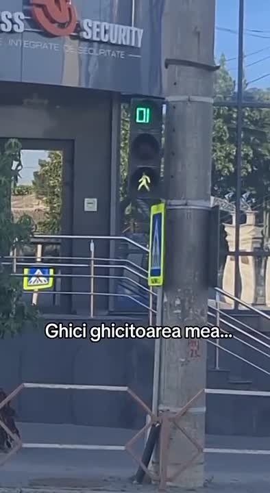 � �������� ���������� �������� ����� ������