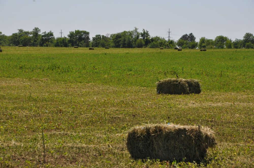 ���������� ����������������� ���������� ������ �� ����