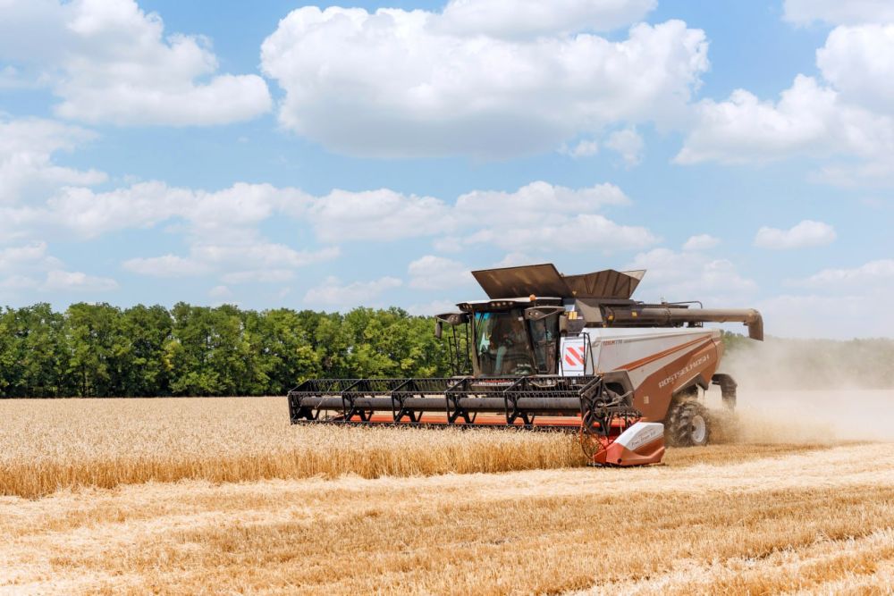 � ������������� ������ �������� � ����������� ������� � �������� ����, �������� ����������