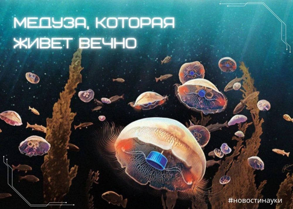 ������� ��������, ��������� � �������� �����������