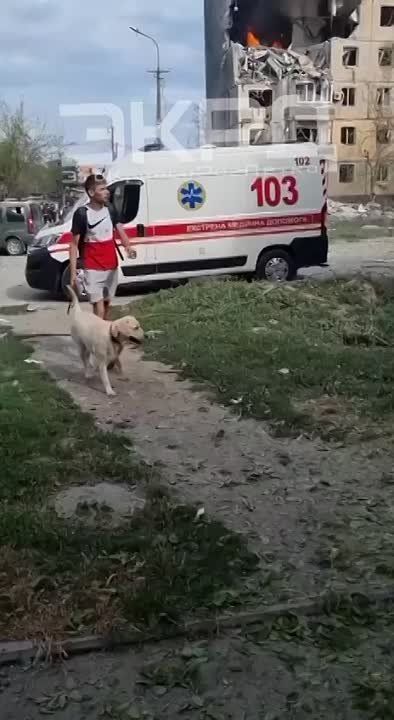 � ������ ���� ������ ��� ��� ������ � ����� ���.