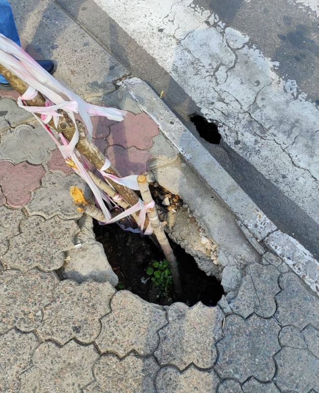 � ��������, �� ����� ��������� ����������� ���� �������� � ����, ������