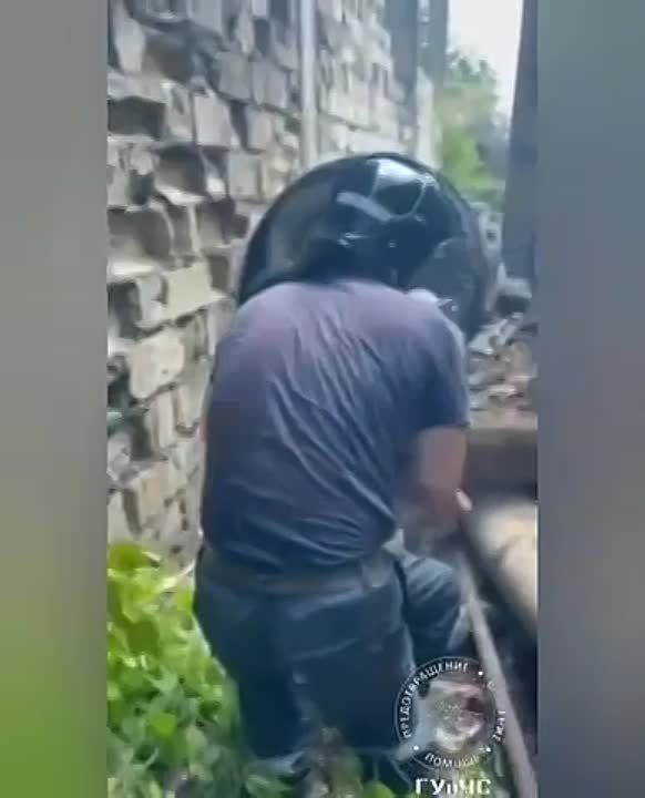 ������� ��������� 300-������������� ������ � ��������