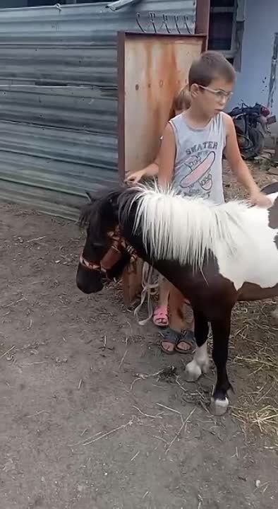 � ���������� �������� �������� ����� ����� ����