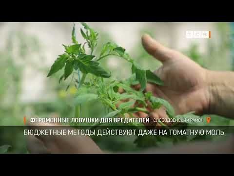 �������� �� ���� �������� ��������� � ���� �� ������� � ���������� ������� �� ���������. ��������� ������ ��������� ���� �� ����� ������� �������� ����