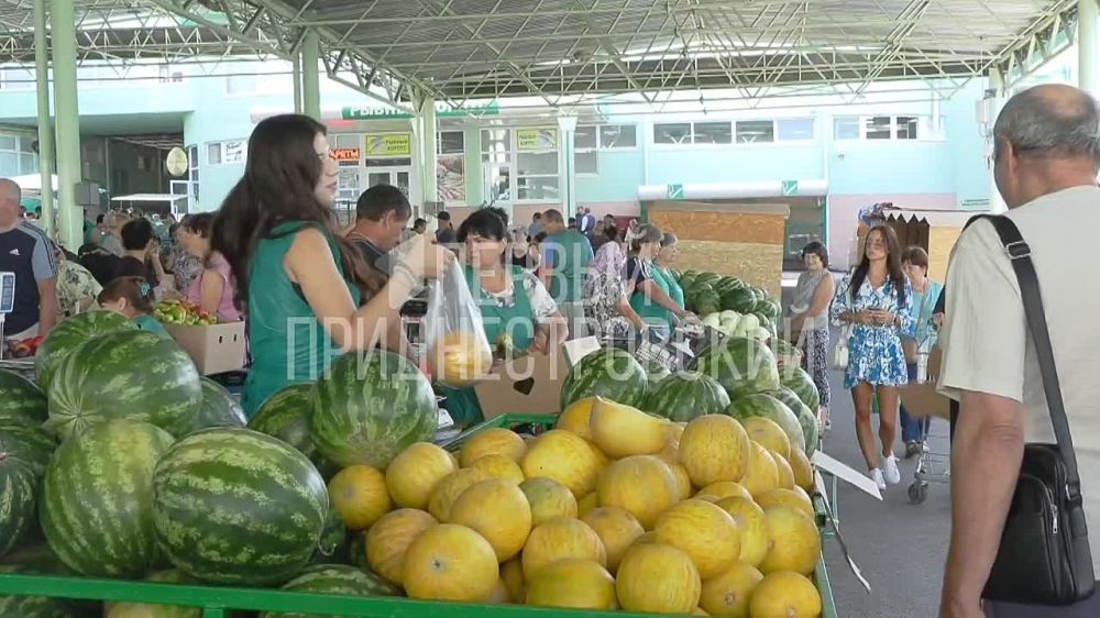 �������, �����������. 5-6 ������ �� ��. ����� ����� �� ��� ����� �� ��� ������ - ������ 50