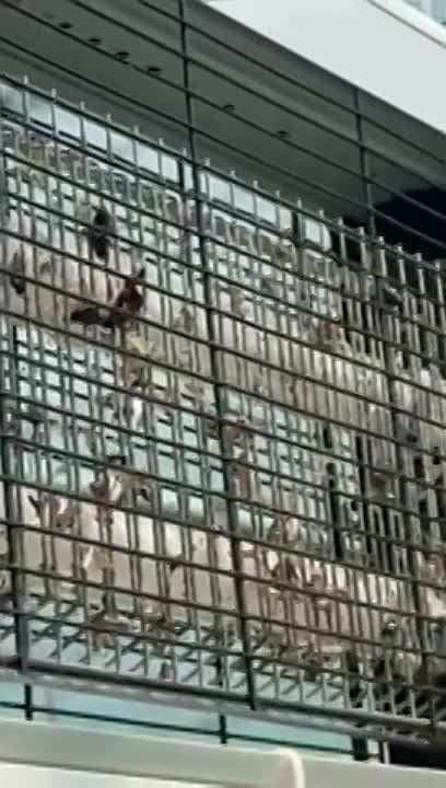 ����������� ������� �� ������������� ��������� � ���� �� ������� � ���������� ������� �� ���������