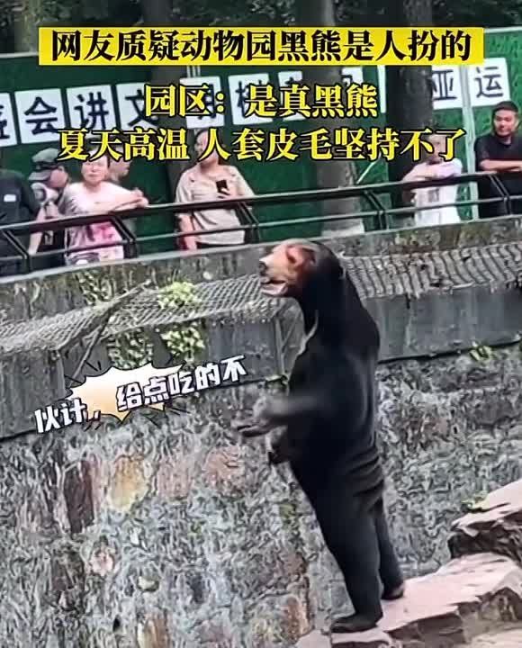 � ��������� �������� �������: ����������� �������� � ������� ��������� �������� �� ����� � ��������