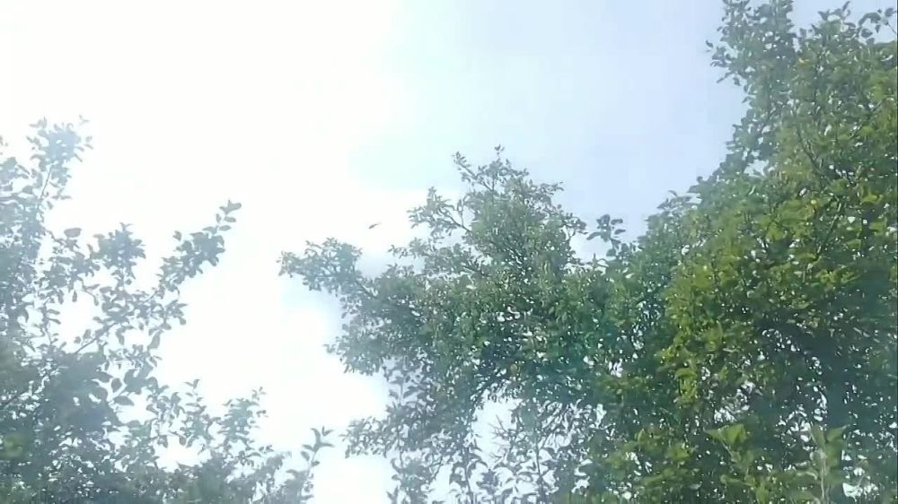 ��� ����������� ��������� �������� ��������� ������� ������