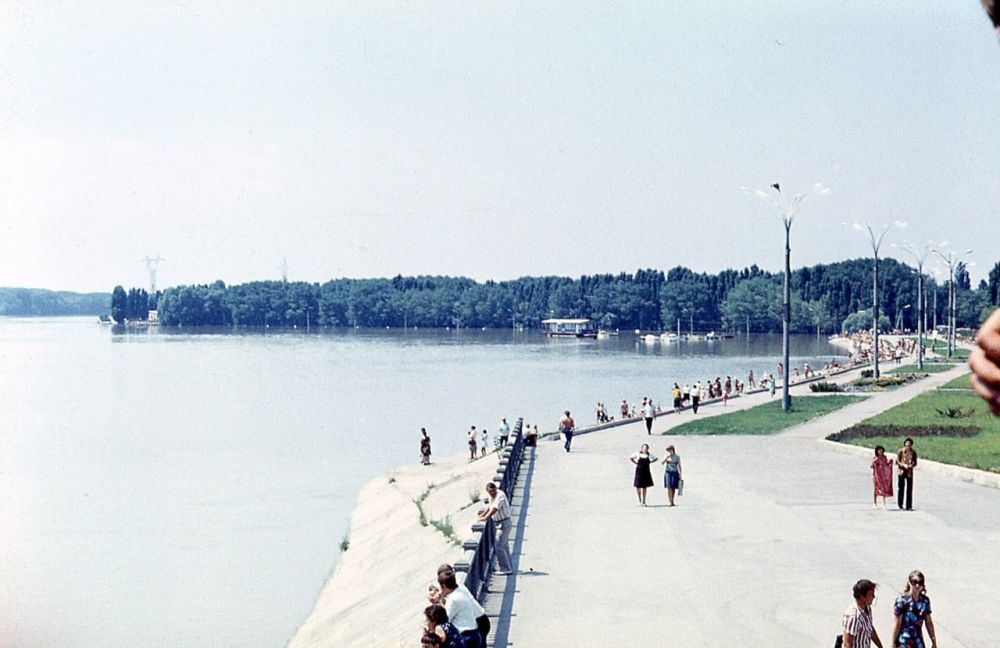 ���������� � ��������� 1981