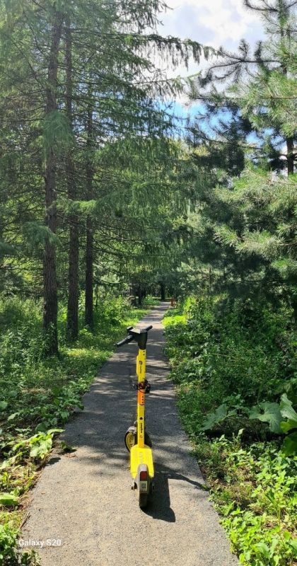 ���������� �� ��� �� ������ �������� �� �������