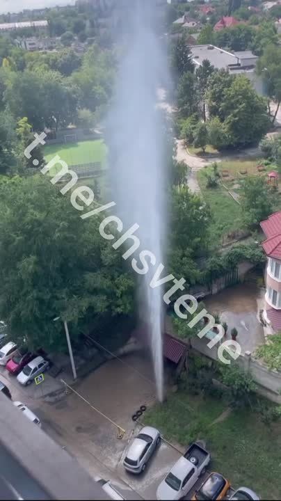 � �������� ���� ������ ������