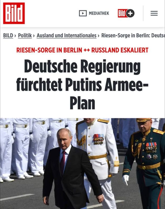 ������ ������ ����� ����� � ������� ��� 2-3 ����, � Bild