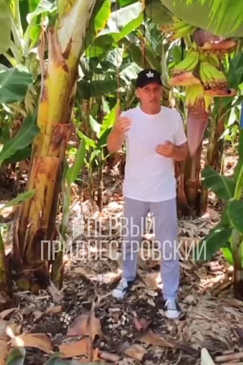 �������, ������ � ����� �������