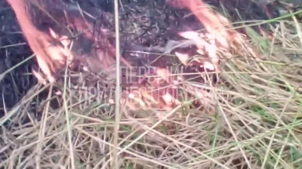 ��� ������������ ������ ����