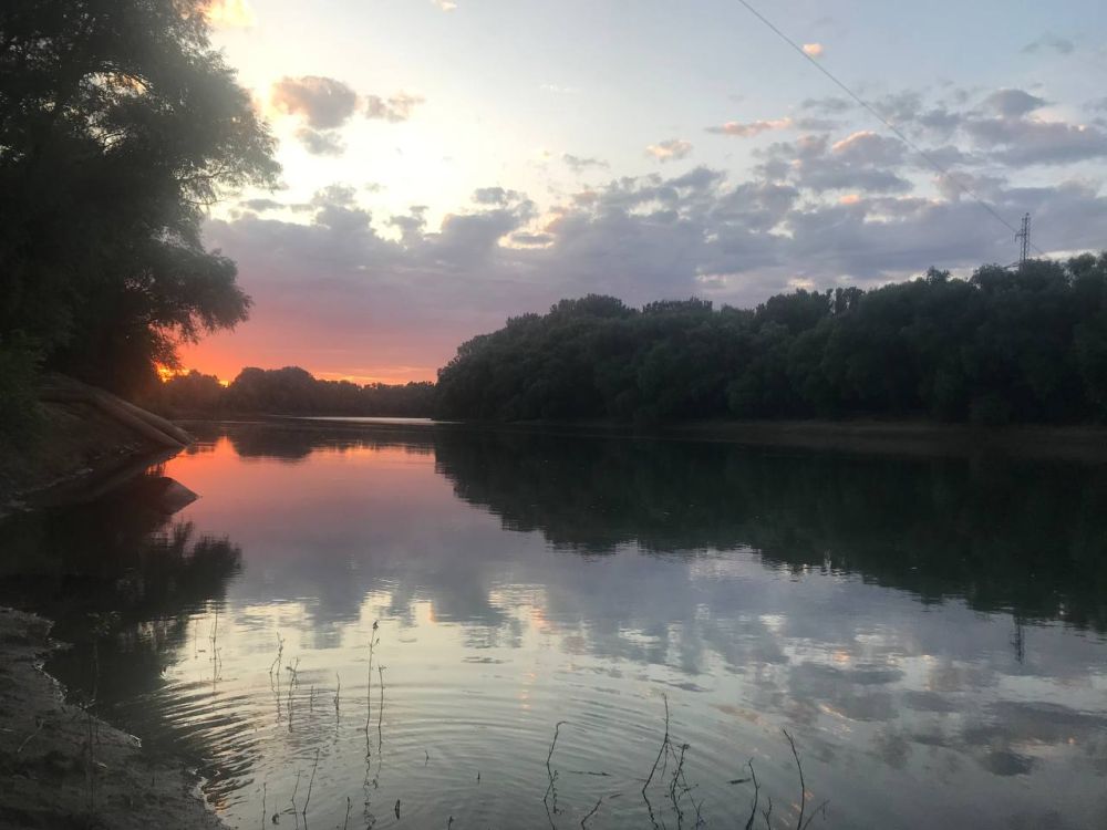 ��������� ����� ���� �������� �������.