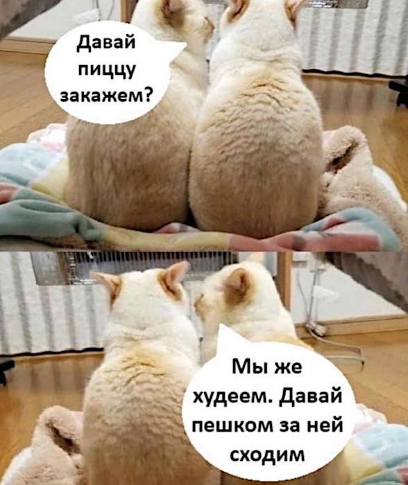 �������� ������-���������� ������ � ��� ����������� � ���������