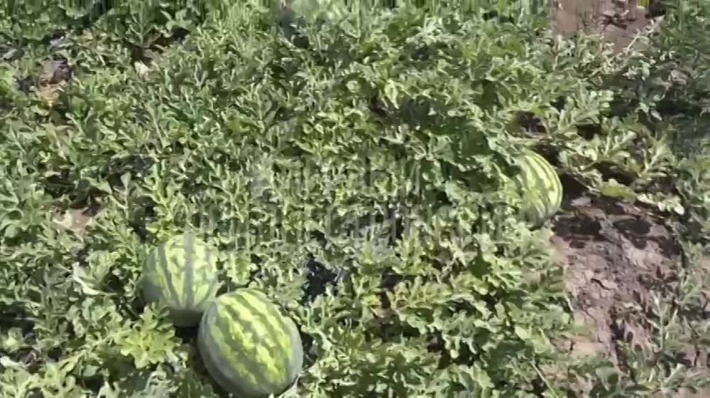 �������� ��������� � ��������