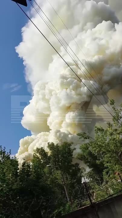 � ����������� ����� �� ����������-�������������� ������ � ������� ��������