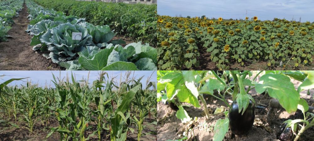 � ��������������� ��� ��������� ��������� ���������� ������ ������� ������ ���� �����������, �������� �����������������