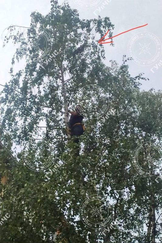 ����� ����. ��������� ��� ����������.. � ��������� �������� ��� ��������� � ������� ������ ����� �� ������ � �� ���� ����������