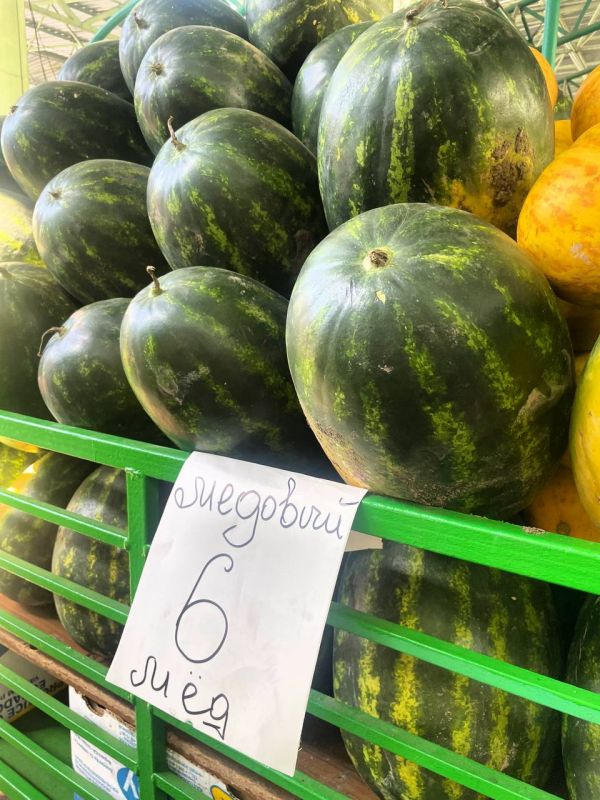 ������� ������������� ���� ������