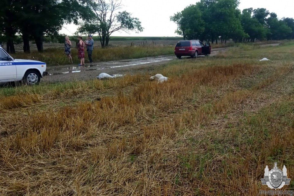 ����� ��� ������� �� ������� ������