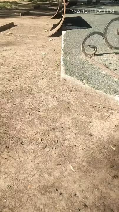 ���������� �����������. �� ��������� ������� ���������, ��� ���������, ������� �������� � ������� ������� � � ��������� �����