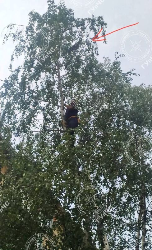 ������ ����. "�������� ��� ��������� � ������� ������ ����� �� ������ � ��� �� ����� ����������" - ����� ��������� ��������� ������� ������� ��������� �������� -������������� ������������� ������ ���������