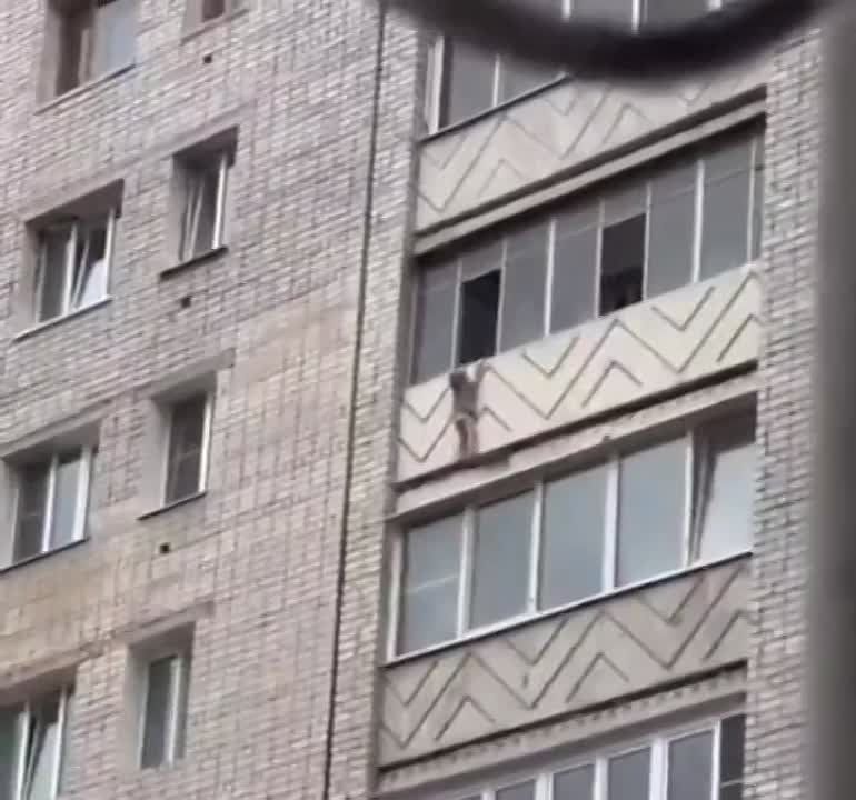 � ���� ��������� ������ ���� �� �������� � ������� �������� �����