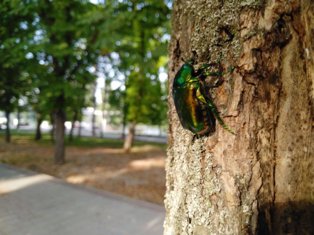 4 ������� ��������� ���������� ����������, ��� �������