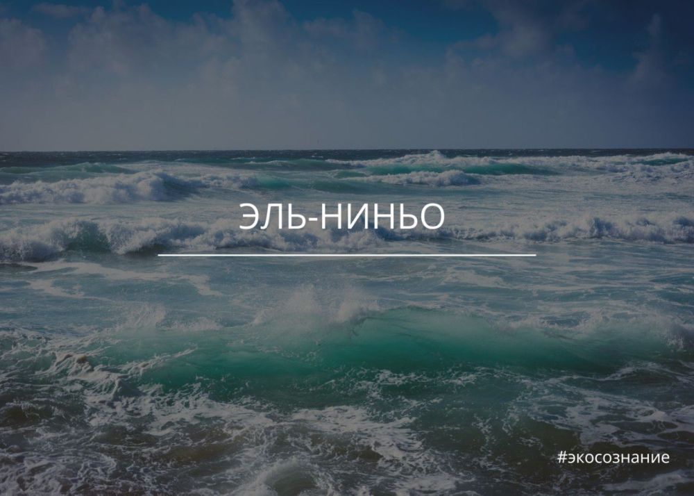 ����������� ������ � ������ ��������