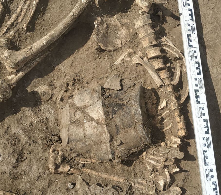 ������ ������, �������� ������, ���������� ������