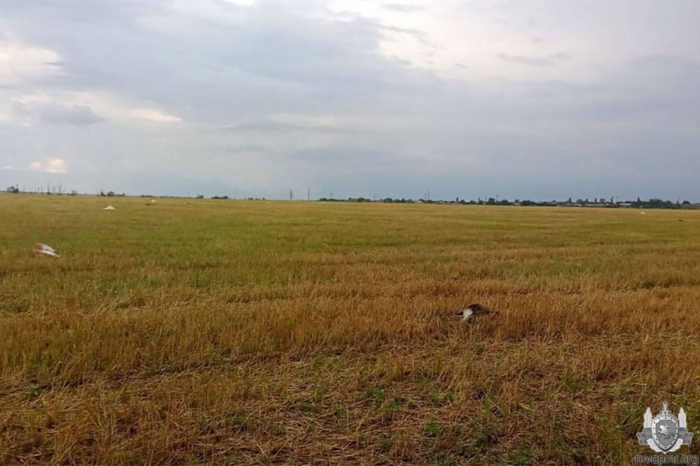 ���� 38 ���. � ���� ������� ����� �� ���� ����� ���� ������ ��� �������� ���. ����� 2 ������� ������� �� ������ �������� ����������� �� ��������