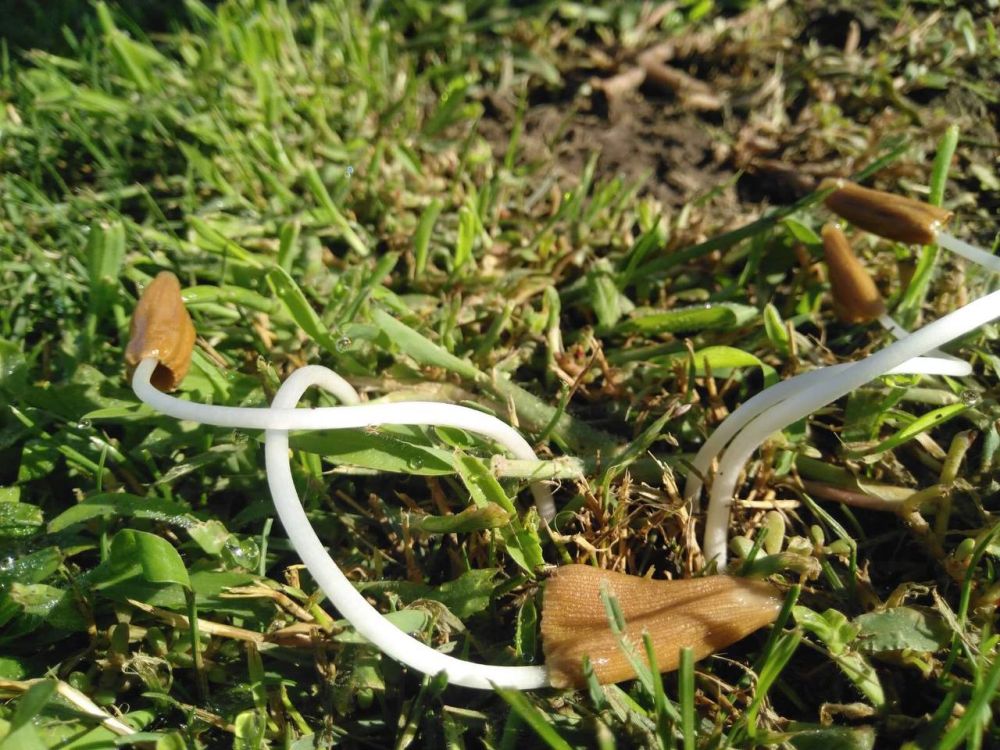 �������-������. ������ ������ � ��������. ����� ������ ������ �����. ������������� ������ - �������� �������. ������, �� ����������� �������� ��������