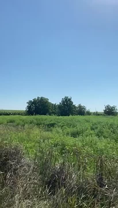 ���� �������� �� ���� ����� �� ����� ������� � ���������������� ������