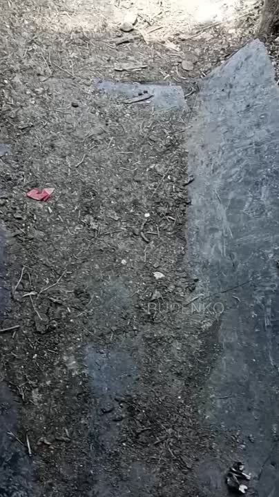 ���������������� ���.