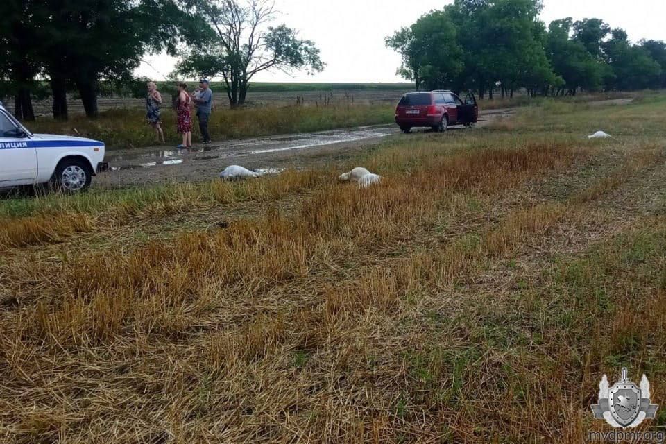 � ���� ������� ����� ��������� ����� �����, ��� ���� �������� ���, �������� �����-����� ���