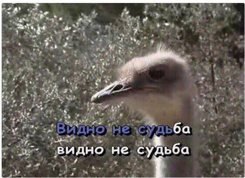 ����� �������� ������� ������ � ��� ������� �� ����� ����� �������� � ��������