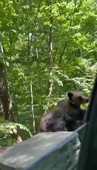 ���� ��������������� ������� � ������� �������� �����, ��� ������� ������� �� ������