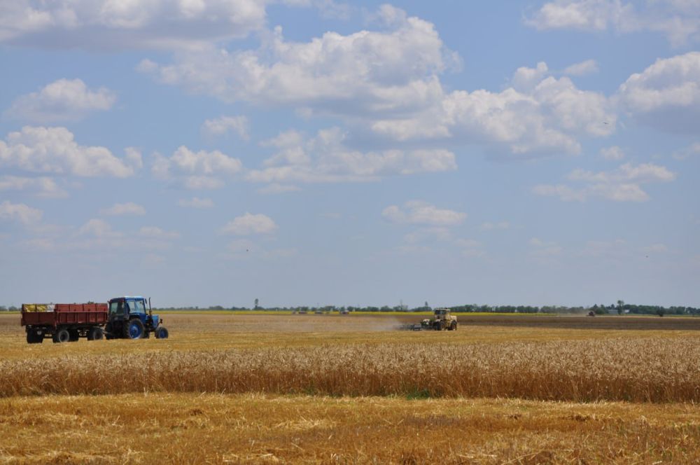 �������� ���������� ���������� ����������������