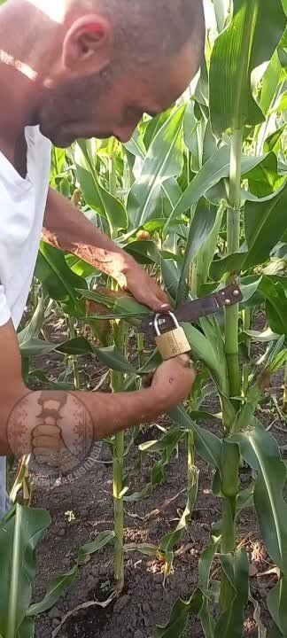 � ������� ������� ������ �� �������� �����