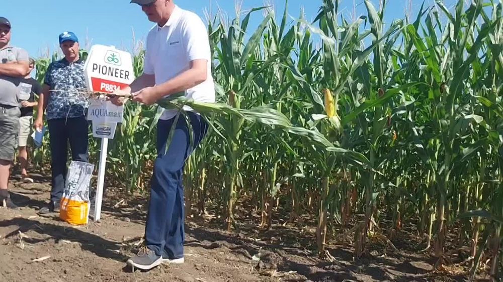 "���� ��������" � ��������� � ����� �������